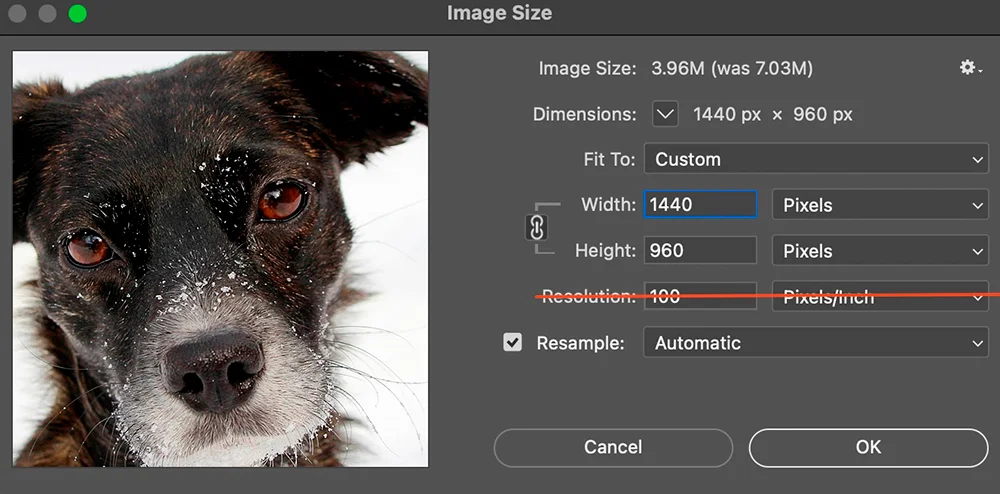 Saving images for the web in Adobe Photoshop.