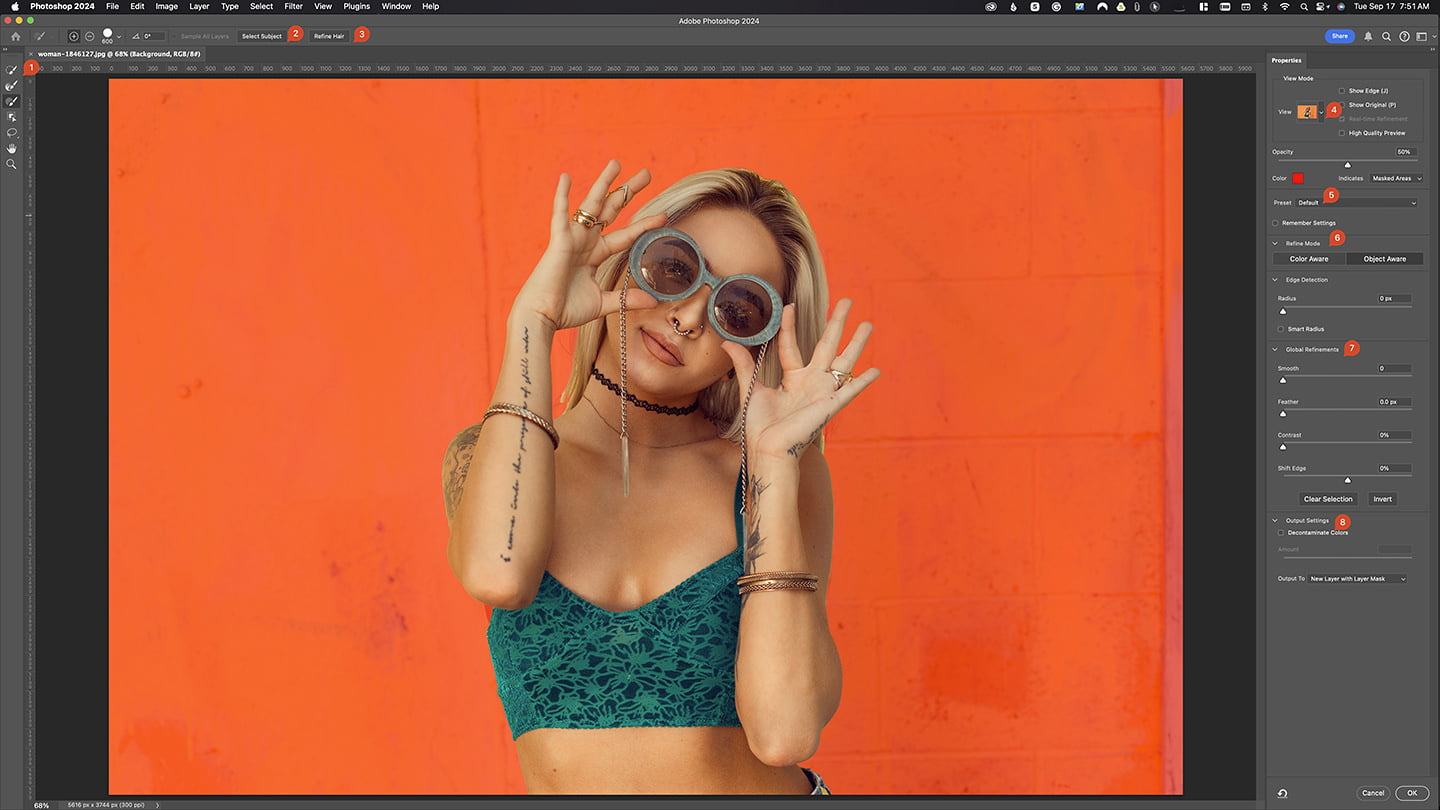 selectandmaskfullwindow Select and Mask workspace