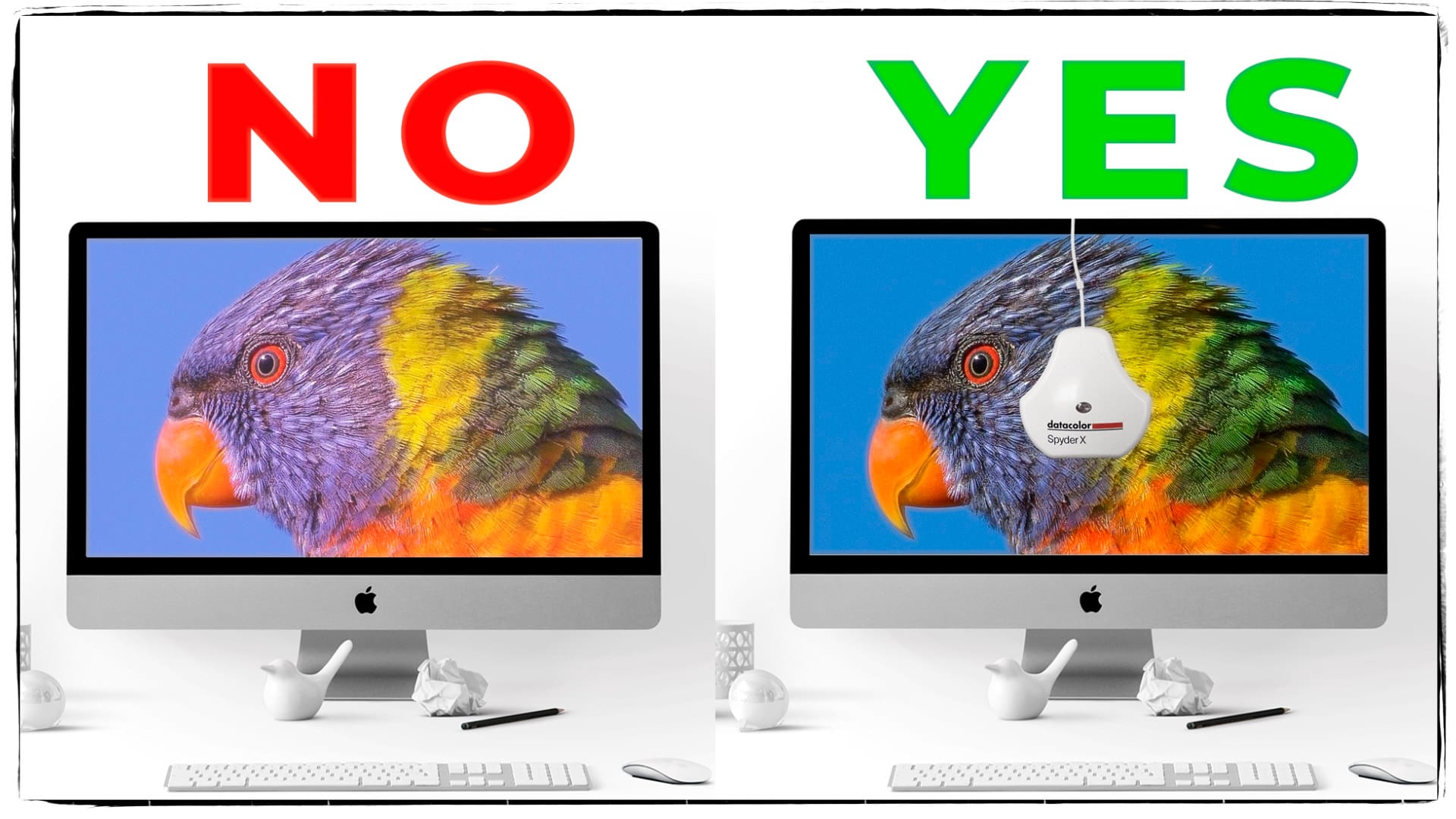 Match Display Perfect Colors: Monitor Calibration Like a Pro! - shutterbugacademy.net
