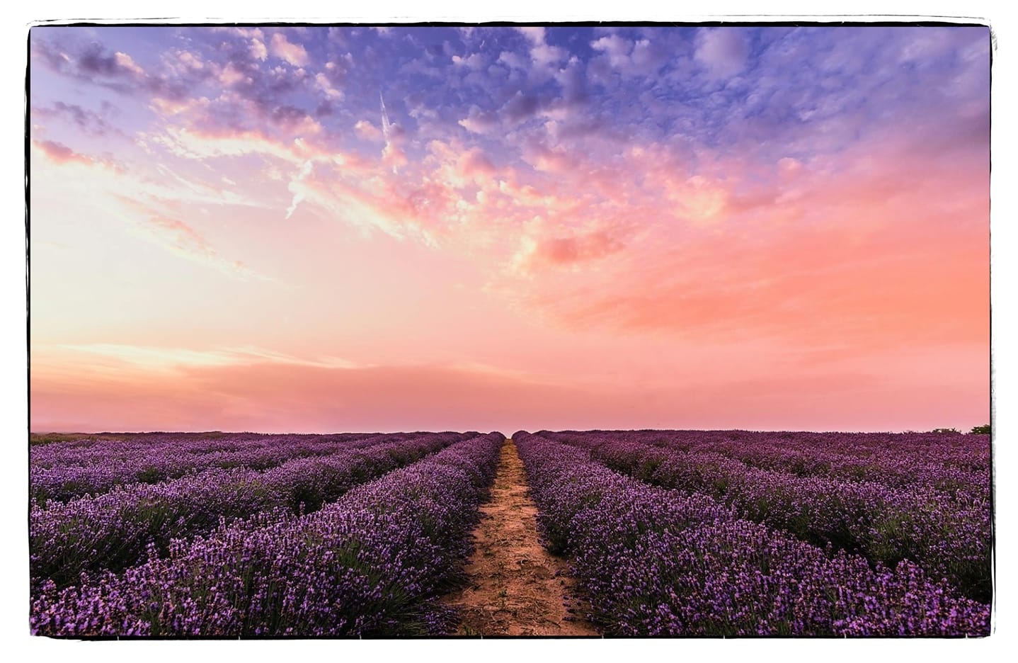 Understanding Printing Color Rendering Intents - shutterbugacademy.net