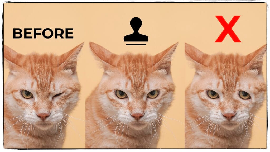 Photoshop Tips: How to Rotate, Flip and Use the Clone Stamp Tool