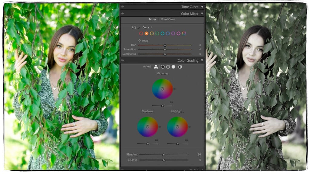 Adobe Lightroom Classic Tone Curve, Color Mixer, Color Grading and Detail.