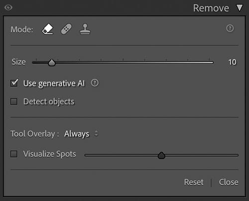 Lightroom remove tool