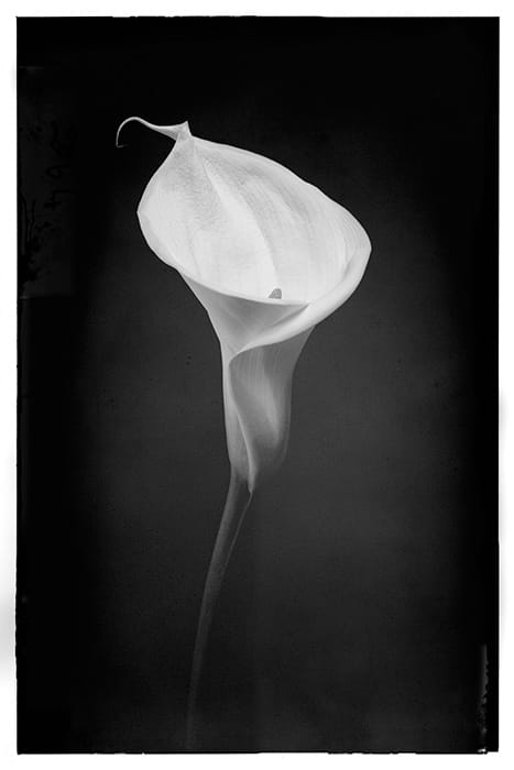 Normal black and white image processed in Adobe Photoshop Normal black and white image processed in Adobe Photoshop