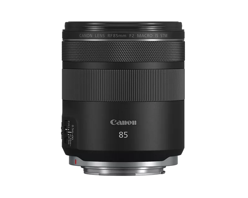 4234C002_rf85mm-f2-macro-is-stm_primary